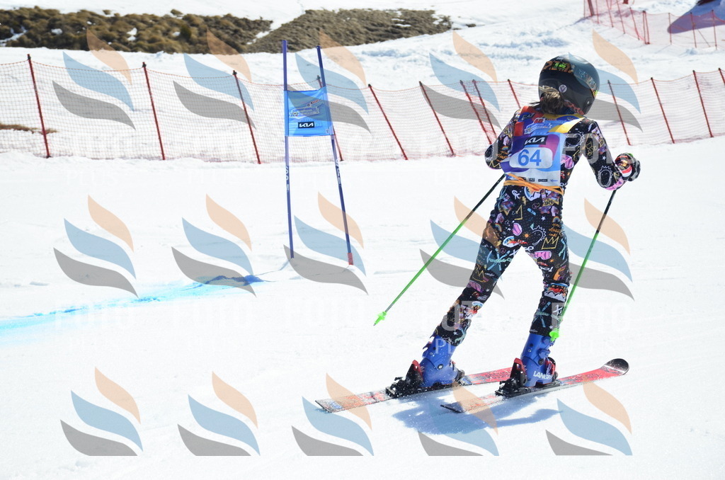 _ELE0270 | holidayphoto