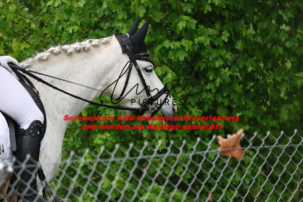 A40A9294 | lmwpictures - Realisiert mit Pictrs.com