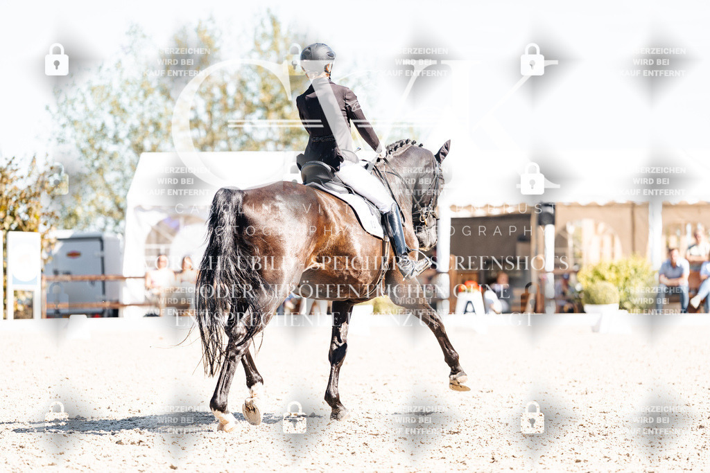 CK909918 | Turnierfotografie Pferdefotografie Trier Rheinland-Pfalz Pferdesport Reitsport Tierfotografie Sportfotografie Pferdevideo Pferdevideografie Equestrianvideography equestrianphotography  - Realisiert mit Pictrs.com