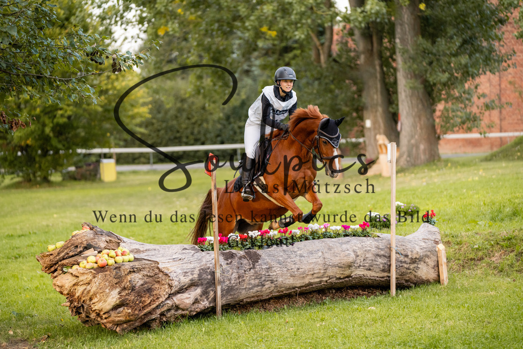 A7V02802 | Pferdefotograf