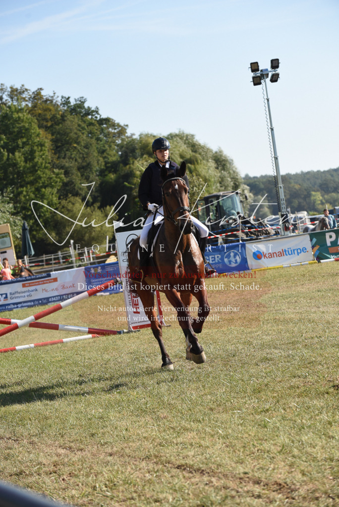 DSC_5784 | Pferde- und Turnierfotografie in Westsachsen. Pferdeportraits, Auftragszeichnungen und intuitive Kunst.