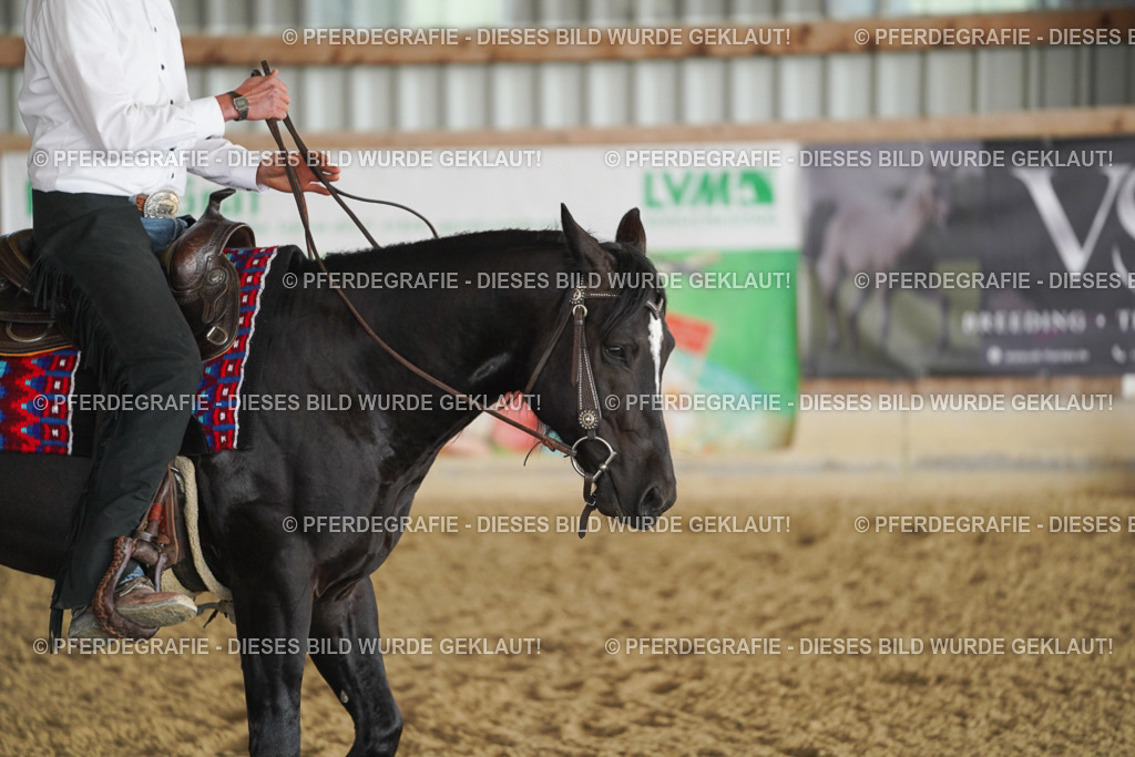 DSC08881 | Pferdegrafie