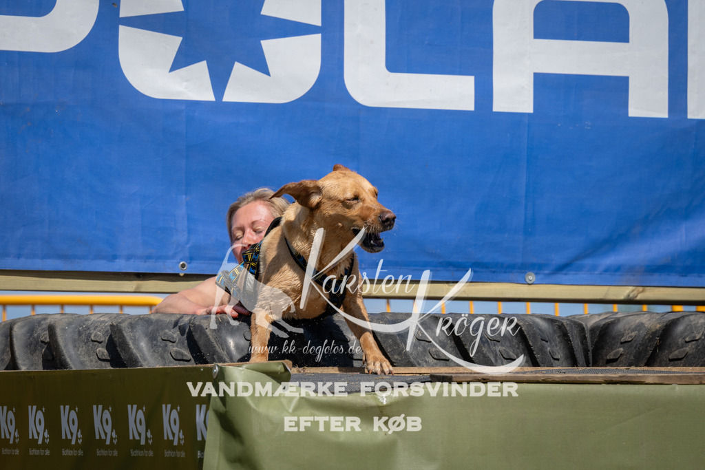 1342_ZZ99119 | kk-dogfotos