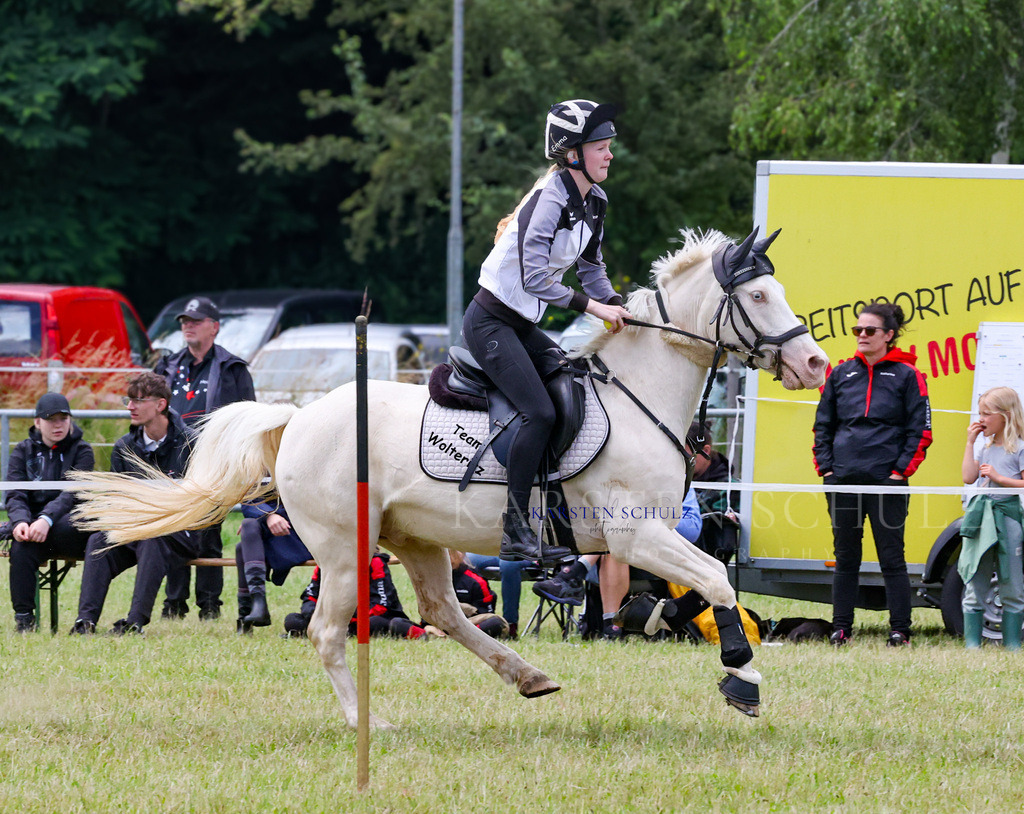 1B3A2620 | Reitsport Reiten