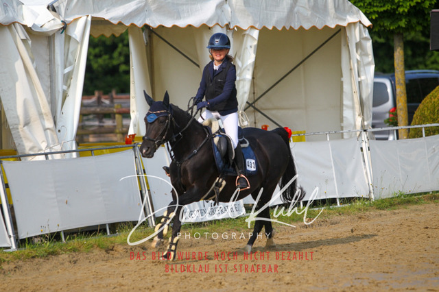 DKP41038 | Turniersportfotografie; Pferdefotografie; Dressurfotografie