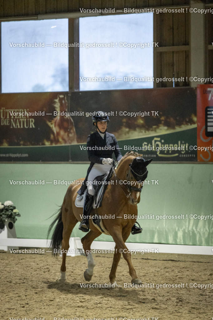 _D5A7273 | Emotionale Pferde- & People-Fotografie rund um Heidelberg, Leimen & Umgebung. Natürliche Fotos von Pferd, Mensch & Familie. Jetzt Termin sichern!