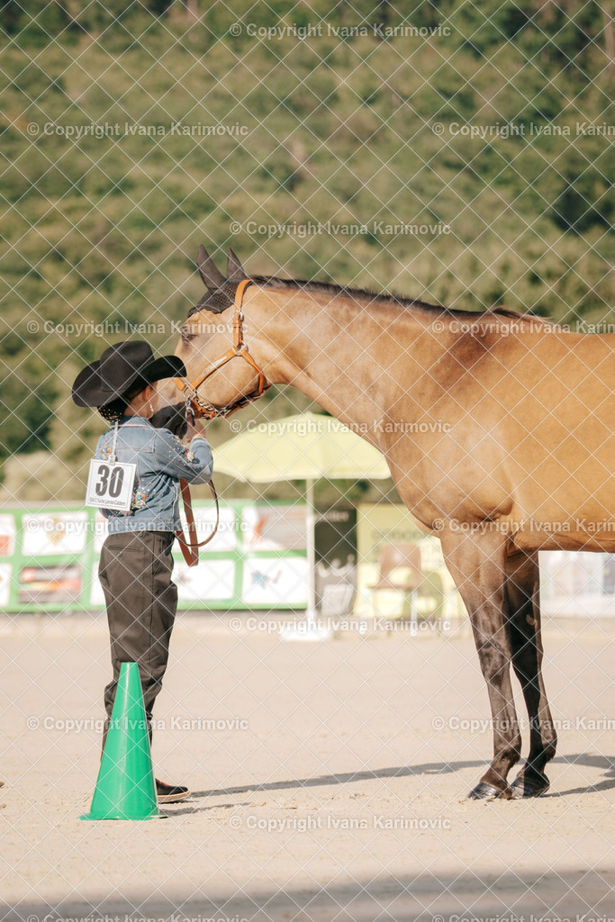 DSC05213 | ikphotography - Realisiert mit Pictrs.com