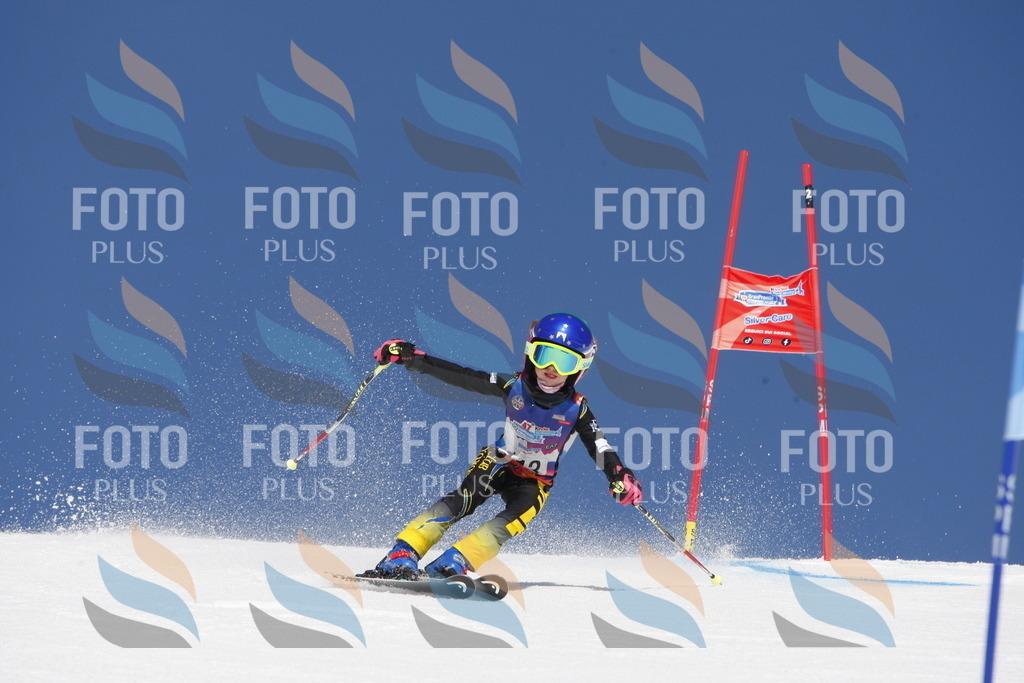 _W1G1673 | holidayphoto