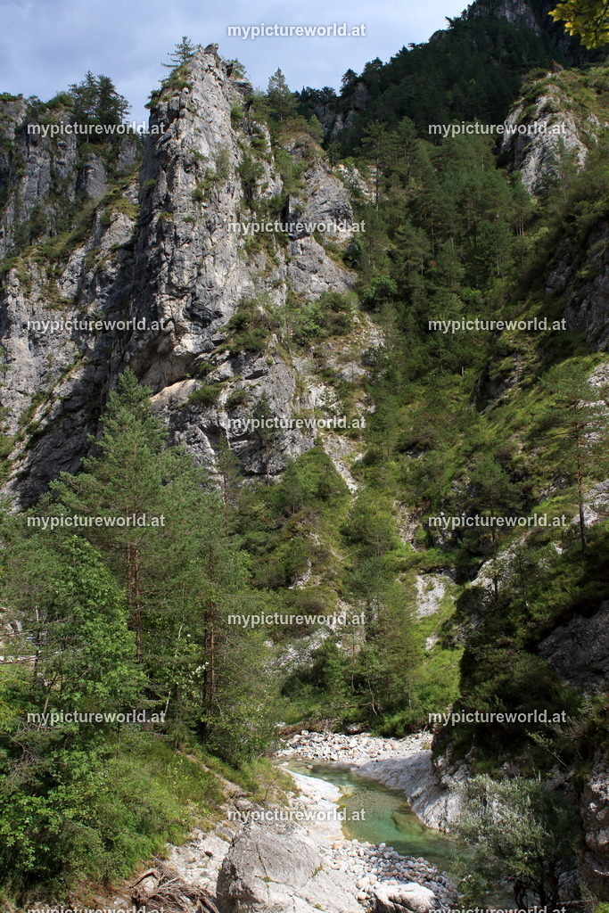 Trögenerklamm-008 | Das Bilderarchiv über Tiere, Planzen und Landschaften. In der Bilddatenbank finden Sie ein große Auswahl an hochwertigen Bilder für Ihre Werbung - Realized with Pictrs.com