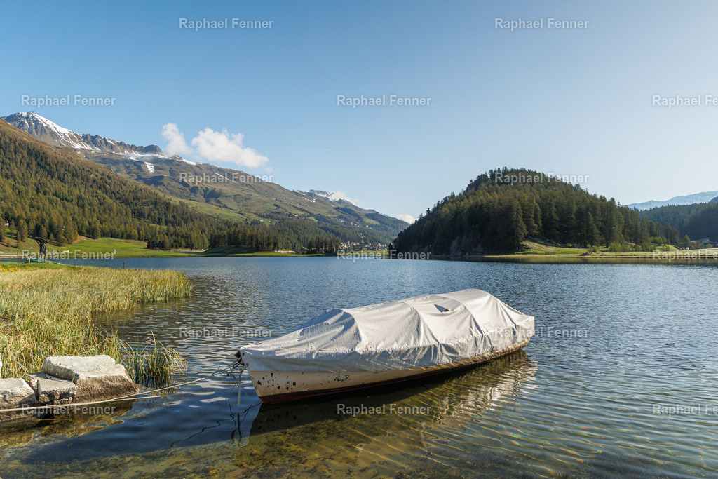 Silvaplanersee  | Erlebe eindrucksvolle Landschaftsfotografie aus dem Engadin und darüber hinaus. Raphael Fenner bietet zudem professionelle Fotoaufträge für Hochzeiten, Porträts und Unternehmen. Jetzt entdecken und inspirieren lassen!