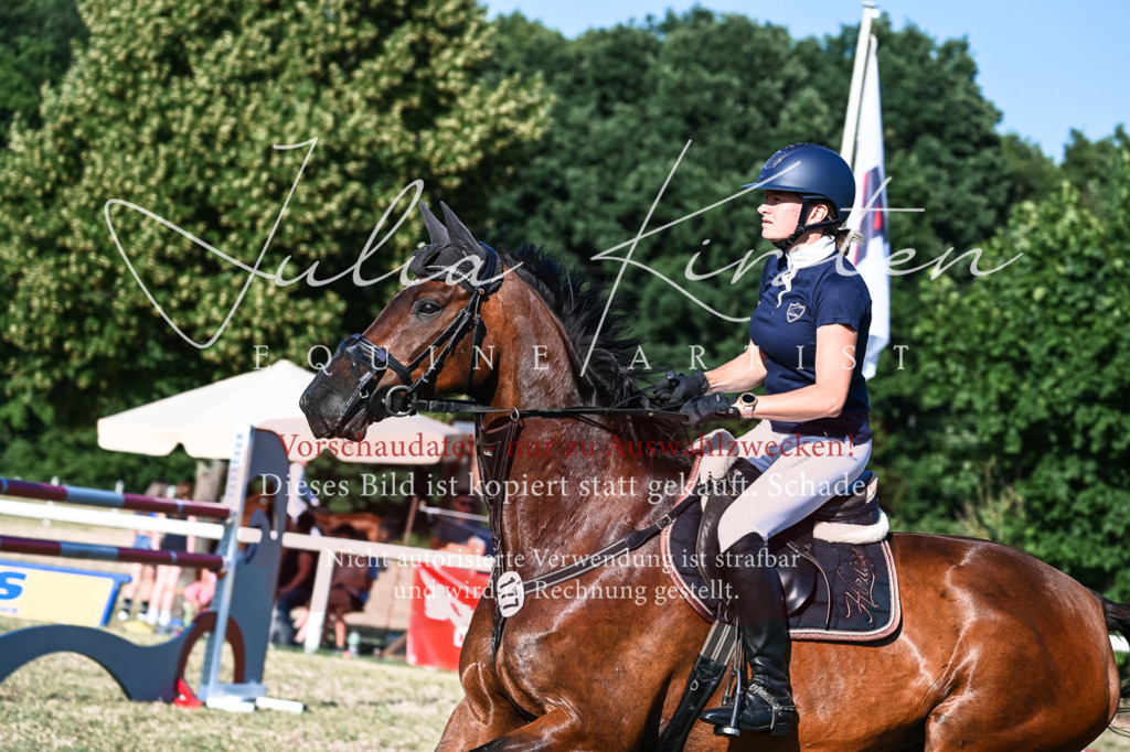 DSC_2970 | Pferde- und Turnierfotografie in Westsachsen. Pferdeportraits, Auftragszeichnungen und intuitive Kunst.
