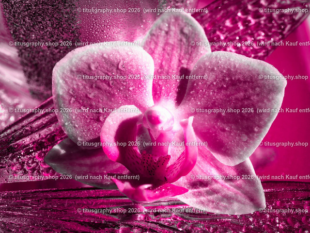 titusgraphy_P8050184-pe-06-vz-ln | titusgraphy-shop: Geschenkideen mit Qualitätsfotos. titusgraphy-shop: gift ideas with quality photos. titusgraphy-shop: idées cadeaux avec photos de qualité.  - Realisiert mit Pictrs.com