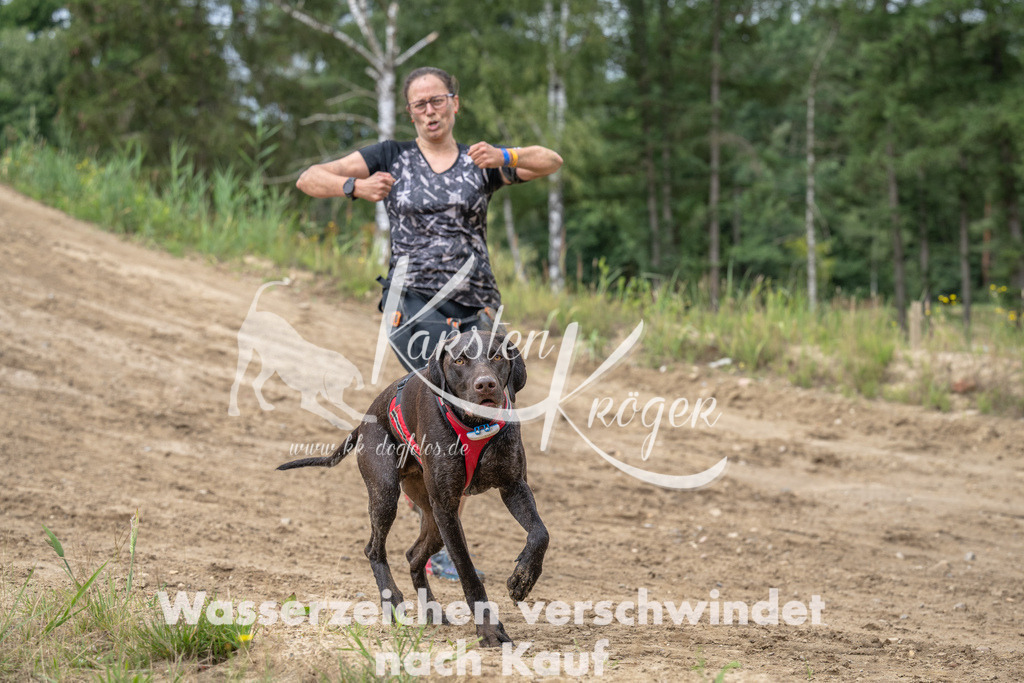 1249_ZZ91377 | kk-dogfotos