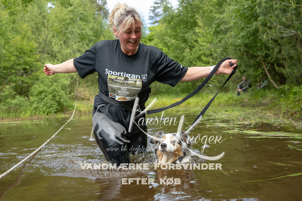 1115DKK994542 | kk-dogfotos