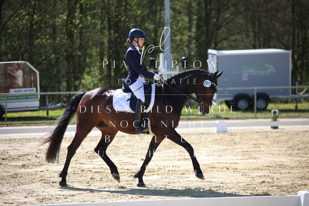 IMGT9773 | pl-fotografie