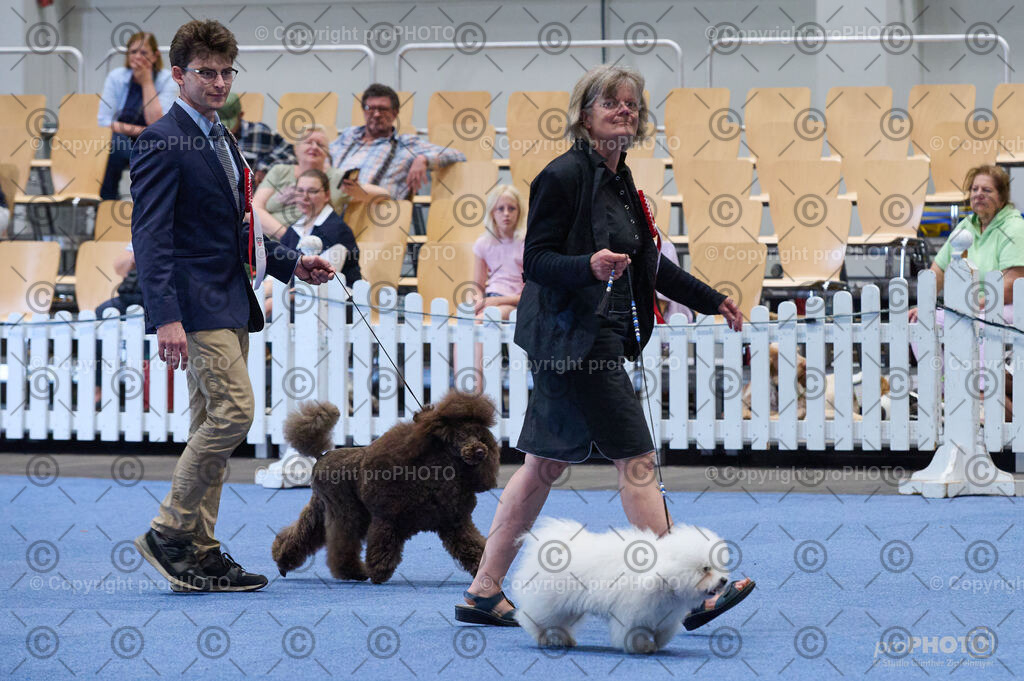 202406_ÖKV-IHA-Tulln24_DSC_5152 | proPHOTO - Realisiert mit Pictrs.com