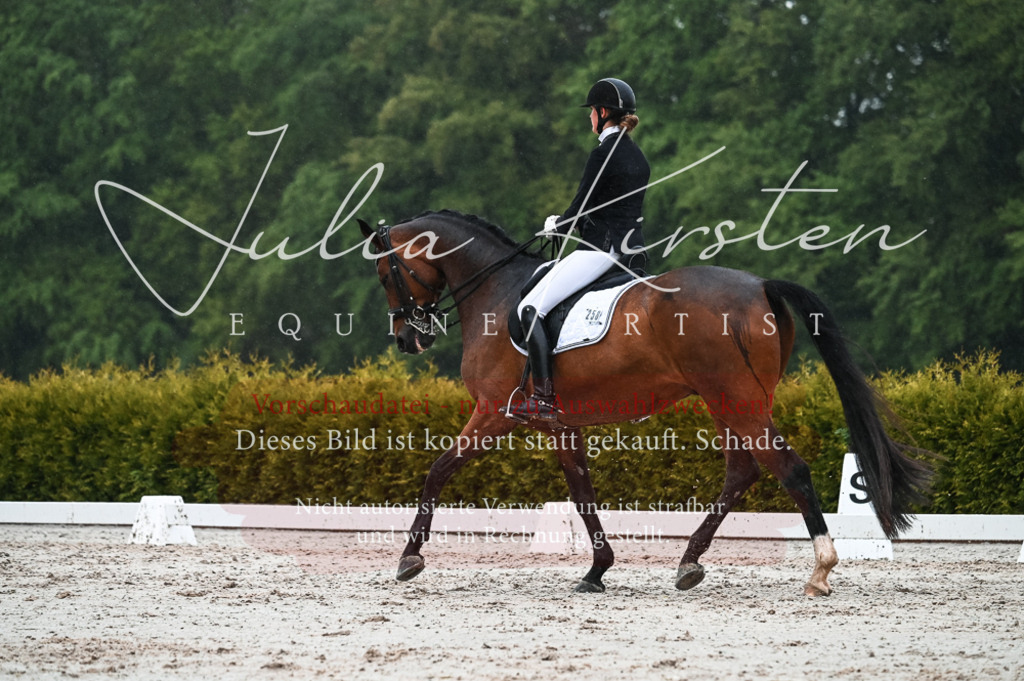 DSC_4566 | Pferde- und Turnierfotografie in Westsachsen. Pferdeportraits, Auftragszeichnungen und intuitive Kunst.