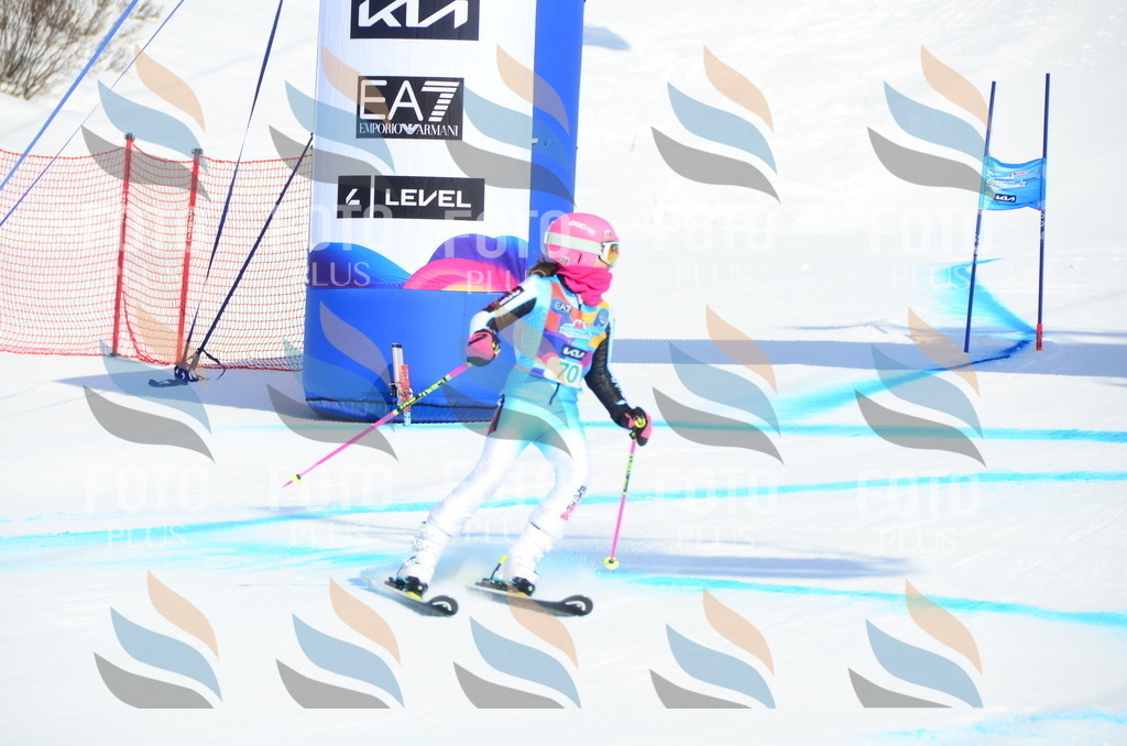 DSC_0403 | holidayphoto