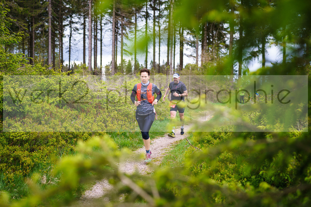 Rennsteiglauf Marathon 2025 | Marathon von Neuhaus/Rwg. nach Schmiedefeld/Rstg. am 17. Mai 2025