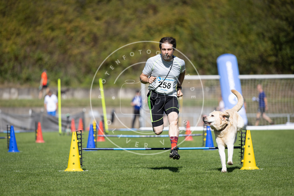Pfotenfotografie_DV3A6420 | Hundefotografie, Tierfotograf, Pfotenfotografie, Fotoshooting Hund, Hunde Portrait, Hundesport, Hundeportraits, Heideshooting, Hunde, Sportfotograf, Hundefotograf, Turnierhundsport, THS,  - Realisiert mit Pictrs.com