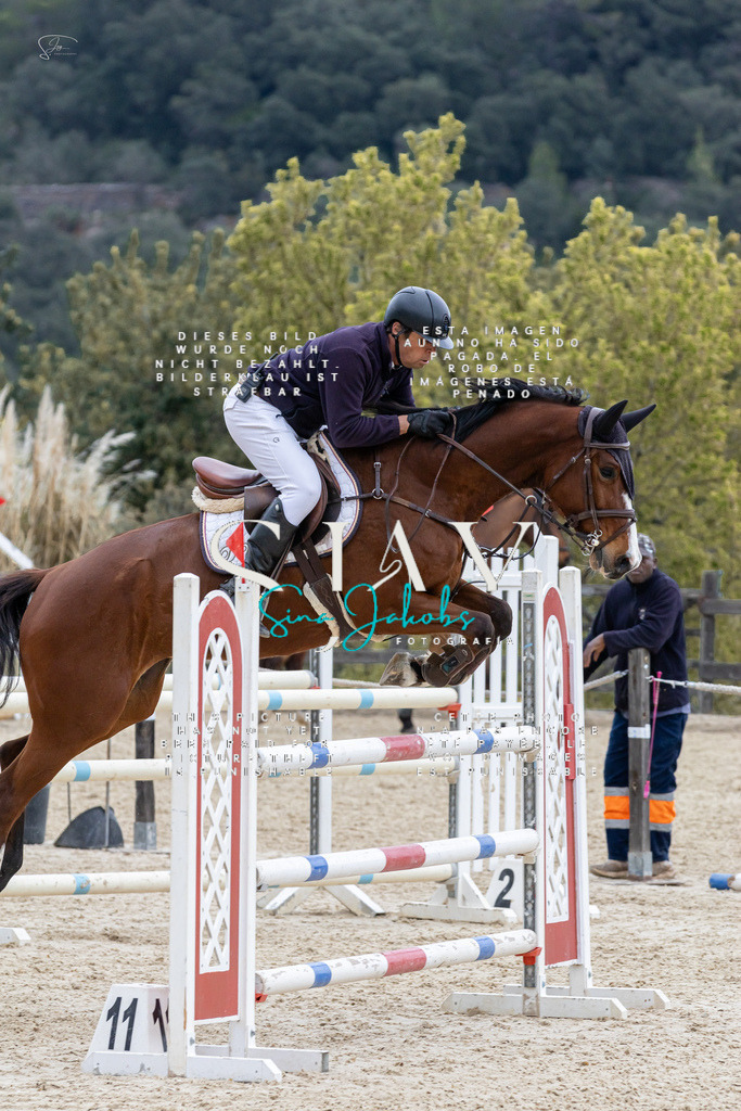 IMG_4181 | s-jay-photography - Realisiert mit Pictrs.com