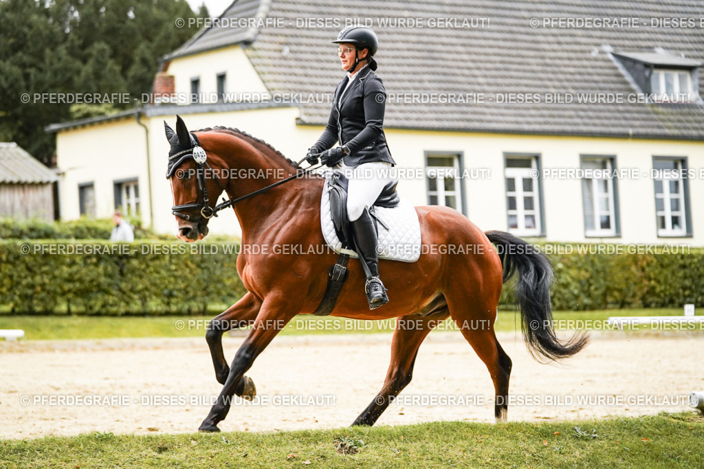 DSC07168 | Pferdegrafie