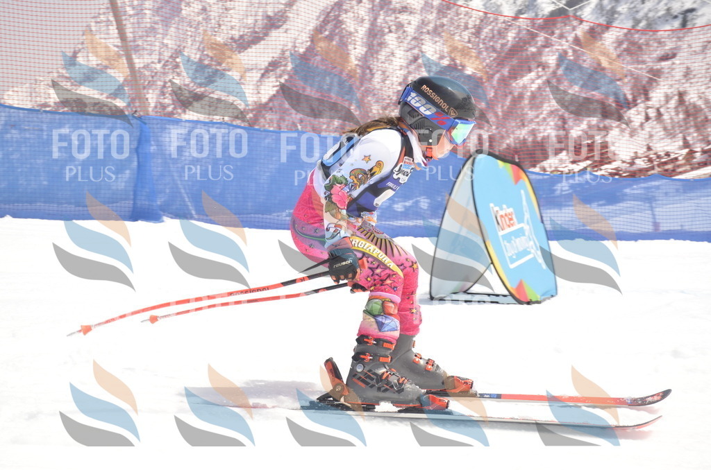 _ELE8867 | holidayphoto