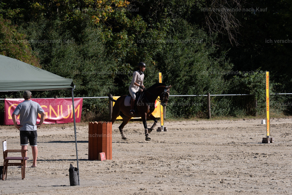 WL_SP_74_SinaFilmArt_IN05615 | working equitationturnier fotograf videograf stoibphotography marixx film working equitation deutschland reitsport turnierfotografie eventfotografie equestrian events