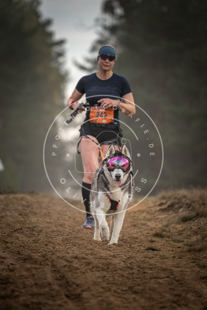 Pfotenfotografie_DV3A5802 | Hundefotografie, Tierfotograf, Pfotenfotografie, Fotoshooting Hund, Hunde Portrait, Hundesport, Hundeportraits, Heideshooting, Hunde, Sportfotograf, Hundefotograf, Turnierhundsport, THS,  - Realisiert mit Pictrs.com
