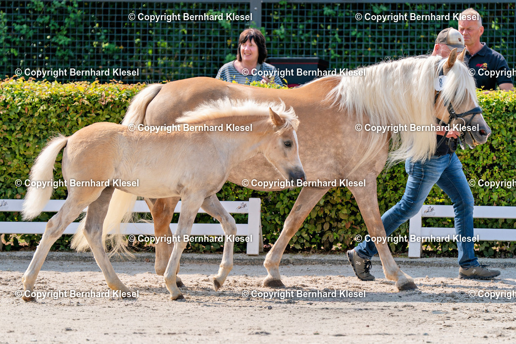 2A909398 | foto-team-bernhard - Realisiert mit Pictrs.com