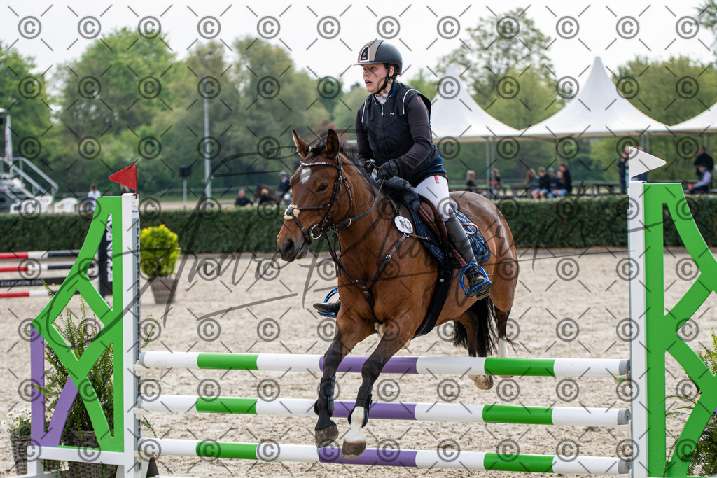 KPT_2400 | andre_photographic