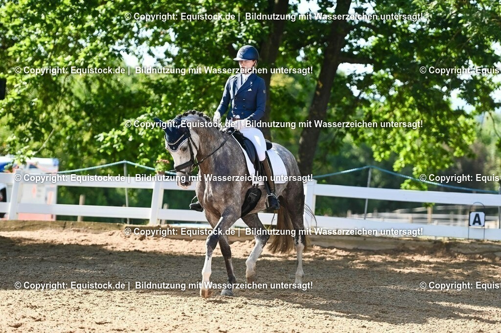 20230715_06_Dressurpferdeprfg. Kl.A_0294 | equistock