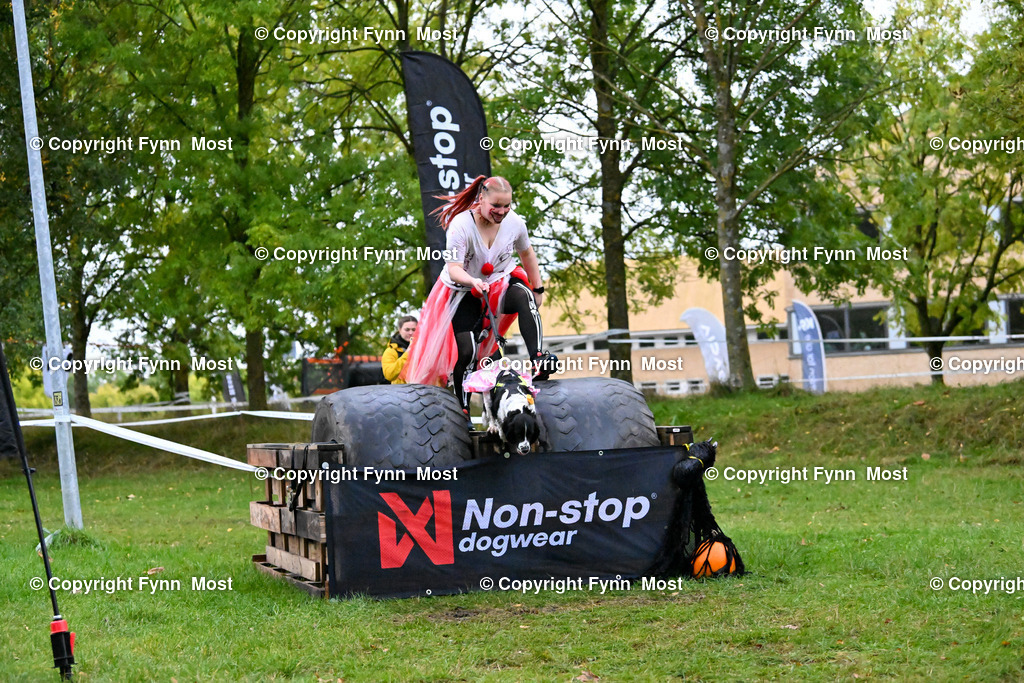 DSC_2680 | Hallo und herzlich Willkommen auf meiner Shop-Seite Fynn Most.

Ich wünsche Dir viel Spaß beim stöbern durch die Bilder, wenn Du Fragen hast oder Bilder vermisst, kannst du mir gerne eine Nachricht schreiben. - Realized with Pictrs.com
