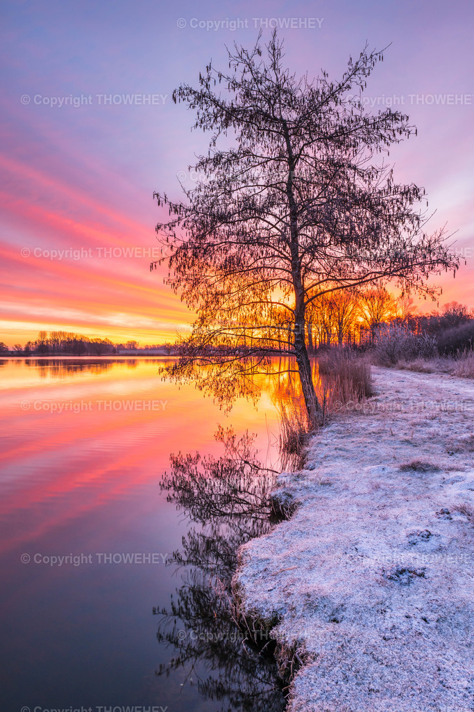 _1027710 | thowehey - Realisiert mit Pictrs.com