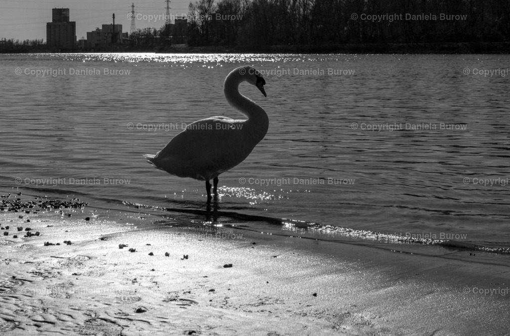 Am Wasser | danielaburow - Realisiert mit Pictrs.com