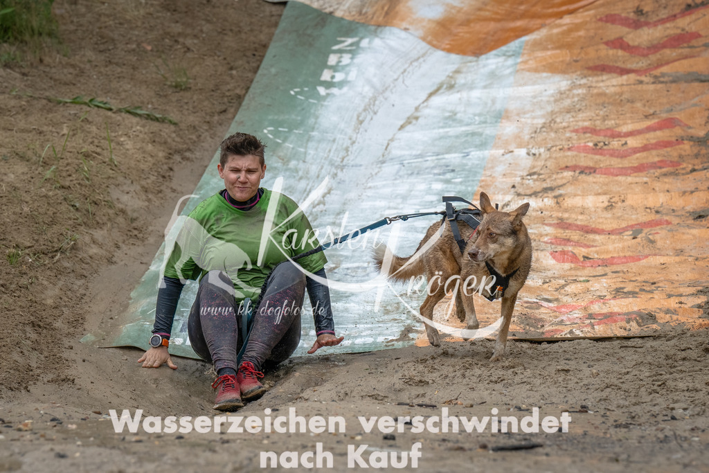 1659_ZZ91726-Bearbeitet | kk-dogfotos