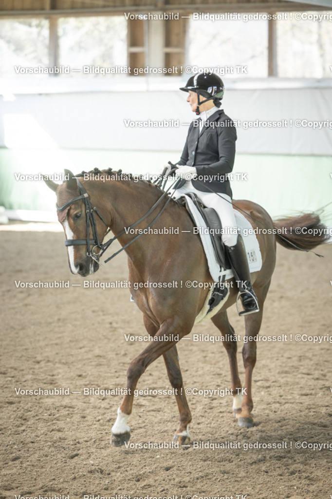 _D5A1203 | Emotionale Pferde- & People-Fotografie rund um Heidelberg, Leimen & Umgebung. Natürliche Fotos von Pferd, Mensch & Familie. Jetzt Termin sichern!