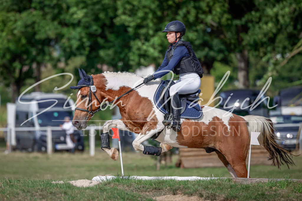 20250907-_3LI9265 | Tierfotografie Pferde, Hunde, Katzen, Haustiere.
Turnierfotografie Reitturniere, Reiten, Springreiten, Dressur in Hanau, dem Main-Kinzig-Kreis und dem Rhein-Main- Gebiet um Frankfurt