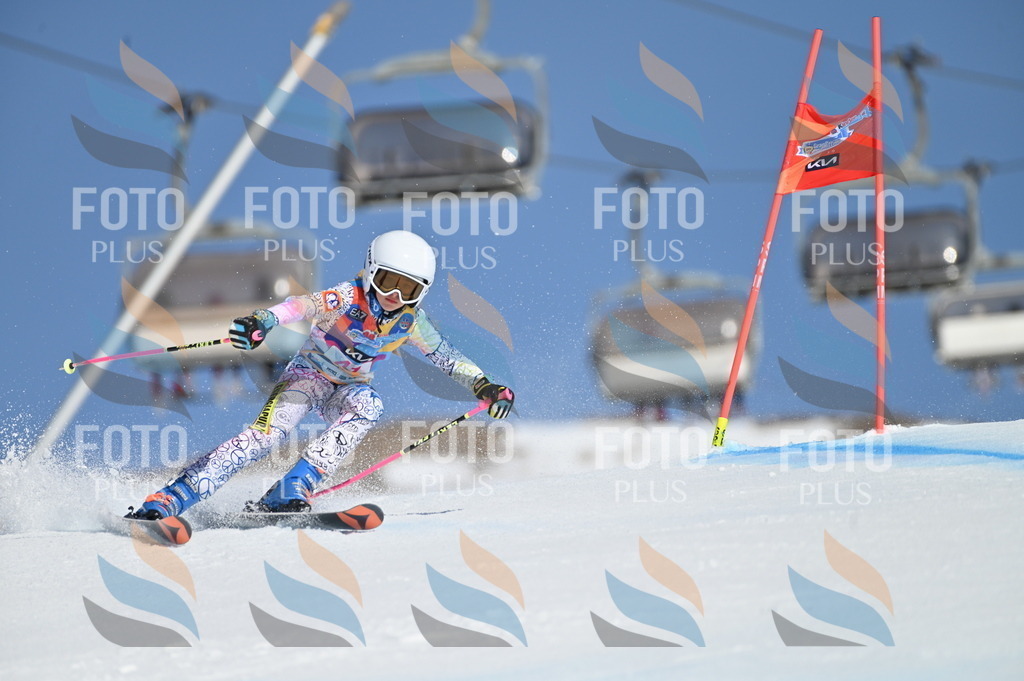 BGV_8367 | holidayphoto