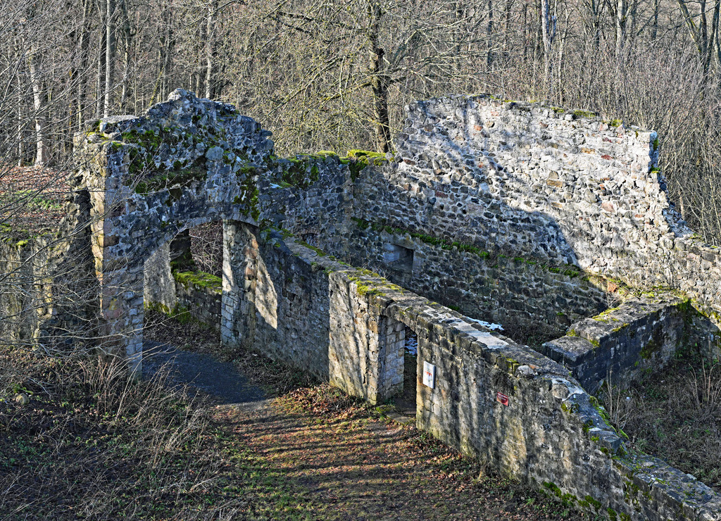 Burg-Bramberg02 | lucisnaturbilder - Realisiert mit Pictrs.com