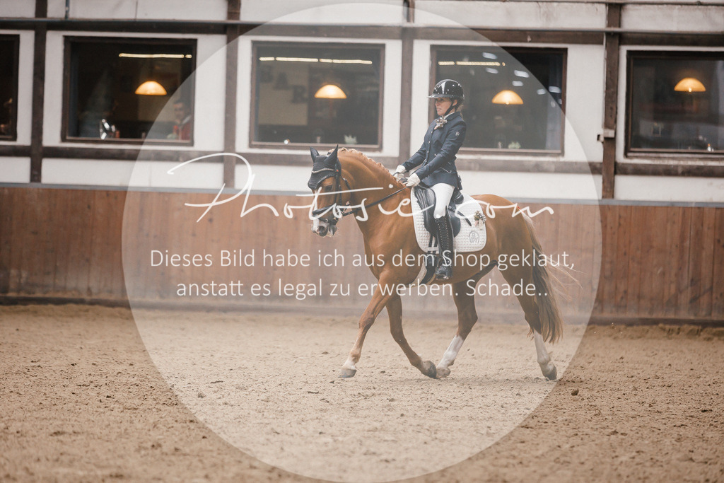 3I6A7280 | Stimmungsvolle Portraits und Reitsportfotografie im Ruhrgebiet und im Münsterland.

Pferdefotografie, Hundefotografie, Tierfotografie, Reportagen, Portraits von Tier und Mensch, Turnierfotografie in Bochum, Recklinghausen, Marl, Haltern am See, Dülmen.. - Realisiert mit Pictrs.com