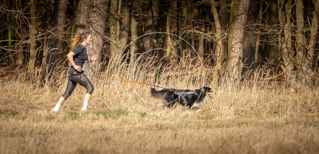 DV3A5585 | Hundefotografie, Tierfotograf, Pfotenfotografie, Fotoshooting Hund, Hunde Portrait, Hundesport, Hundeportraits, Heideshooting, Hunde, Sportfotograf, Hundefotograf, Turnierhundsport, THS,  - Realisiert mit Pictrs.com