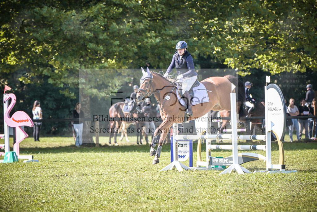 DOS_0823 | Entdecke hochwertige Reitturnierfotos von Foto Oger. Professionell, emotional und authentisch – jetzt Lieblingsmomente im Shop bestellen. - Realisiert mit Pictrs.com