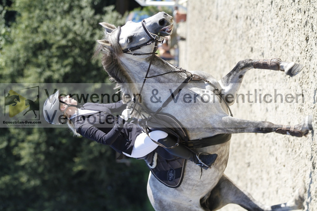 _MG_6452 | equestrian-live-com