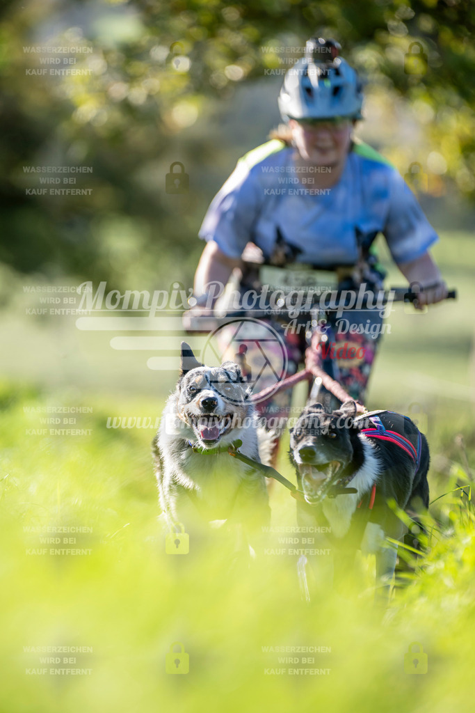 MompixPhotography_20TSB_E3_DS2-28 | PayLife