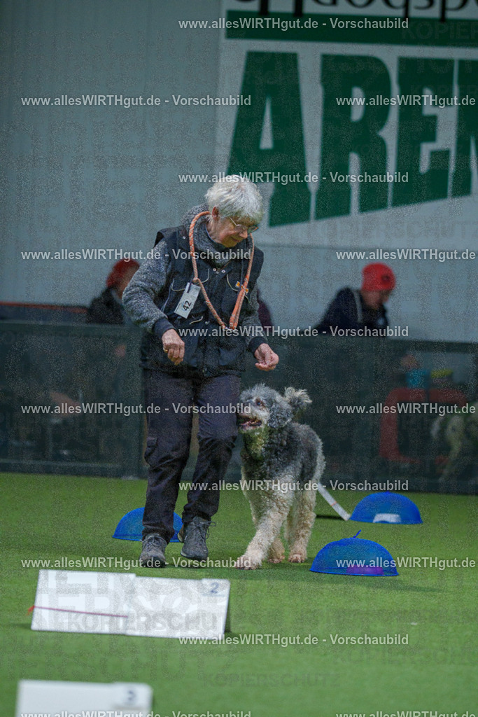 7R501247 | Professionelle Tierfotografie in Mönchengladbach von Daniel Wirth (allesWIRTHgut). Liebevolle & natürliche Bilder von Hunden & Katzen für unvergessliche Erinnerungen.