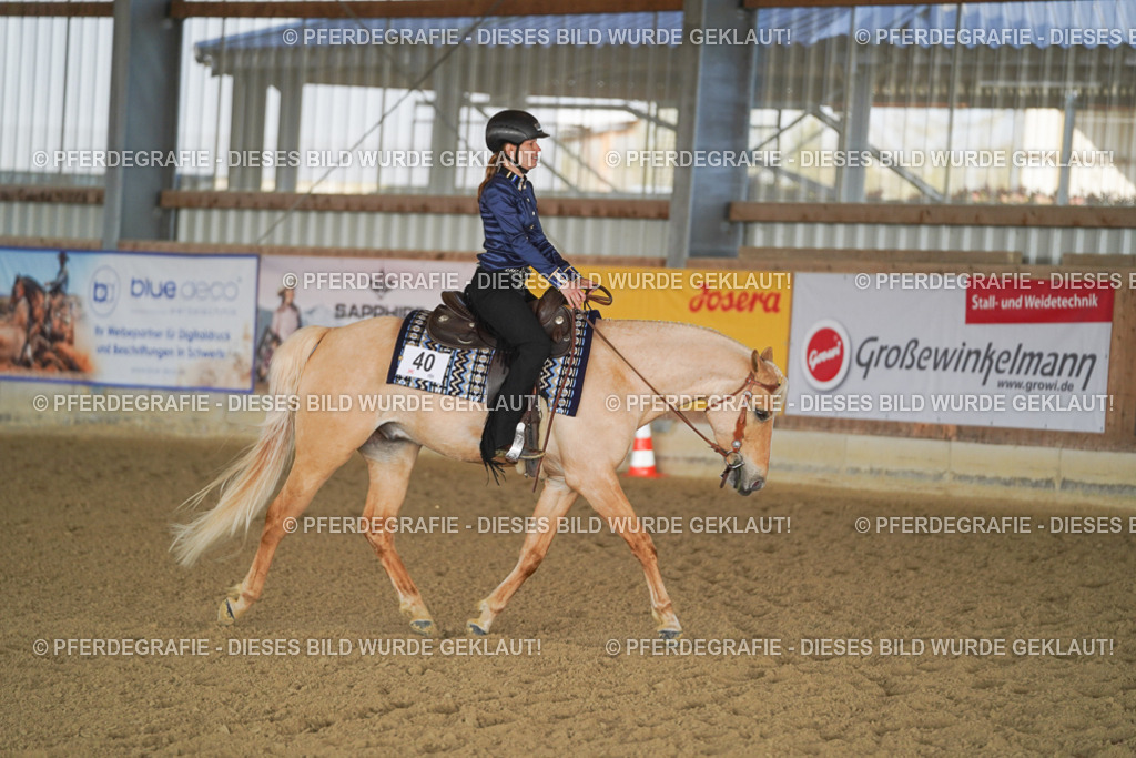 DSC09289 | Pferdegrafie