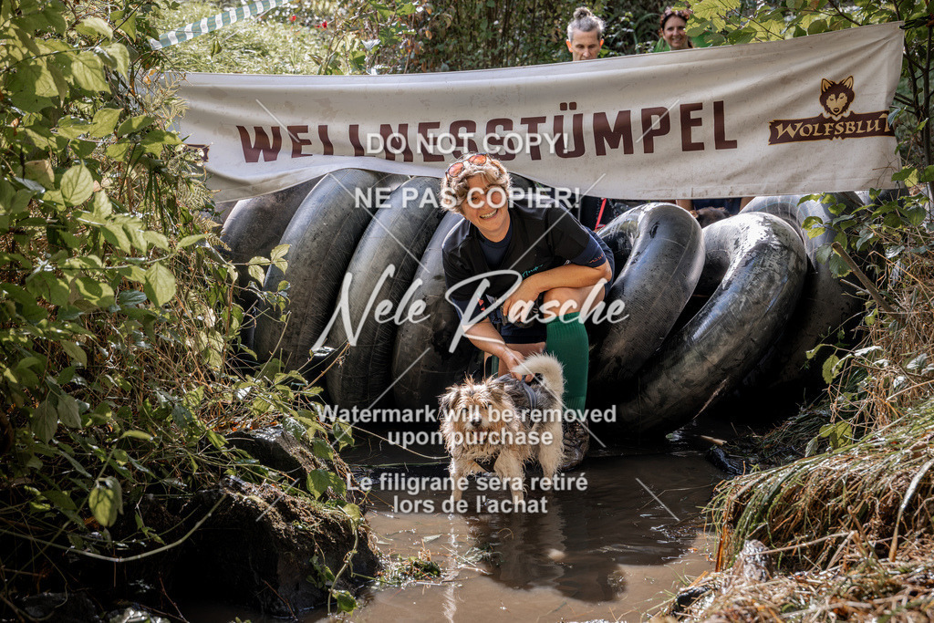 nelerasche_Hunsrück2026_Sa1400-1500_13 | nelerasche