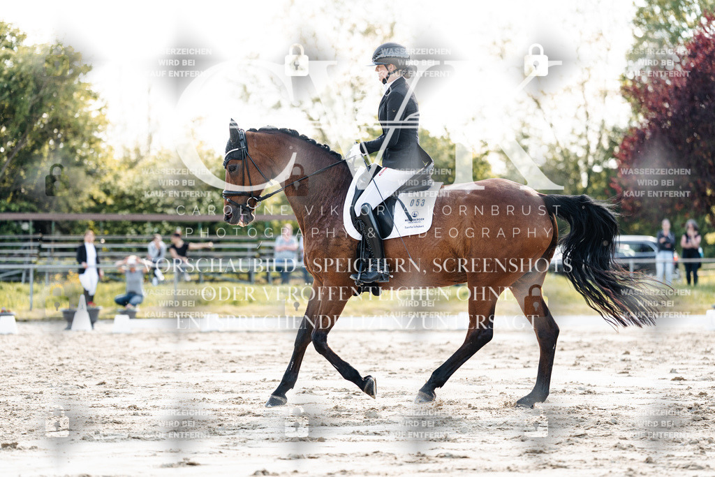 CK909696 | Turnierfotografie Pferdefotografie Trier Rheinland-Pfalz Pferdesport Reitsport Tierfotografie Sportfotografie Pferdevideo Pferdevideografie Equestrianvideography equestrianphotography  - Realisiert mit Pictrs.com
