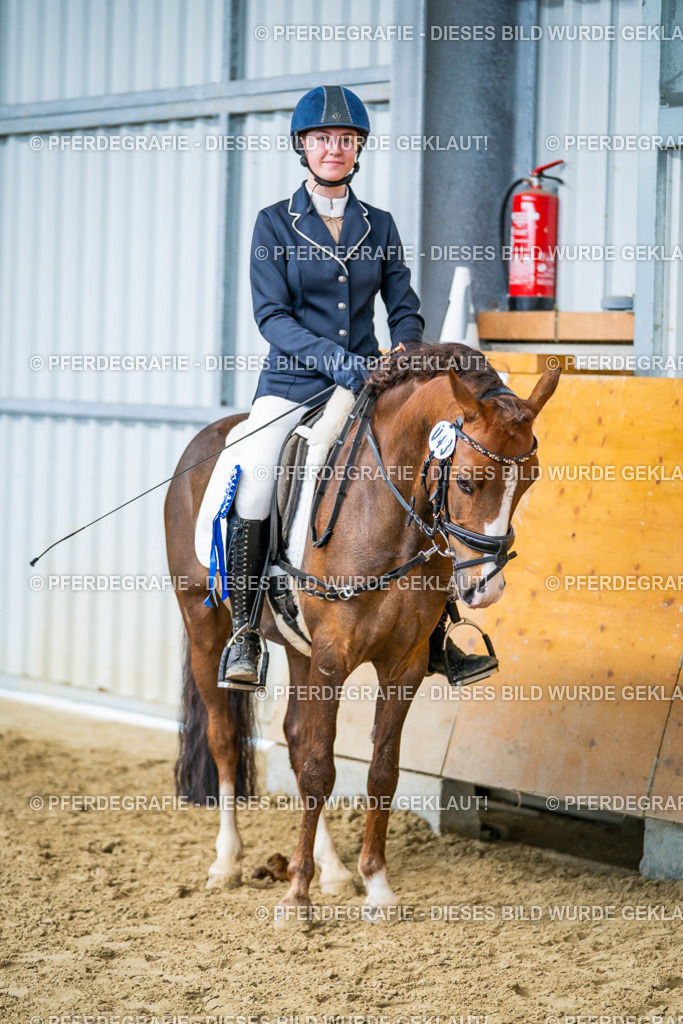 DSC03860 | Pferdegrafie